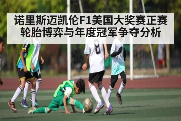 诺里斯迈凯伦F1美国大奖赛正赛轮胎博弈与年度冠军争夺分析